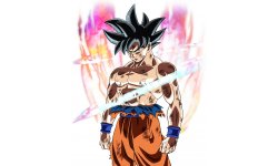 Gokû Ultra Instinct vignette 17 02 2018