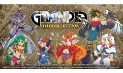 Grandia HD Collection head