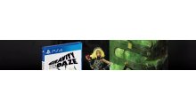 Gravity Rush Remaster HD Edition Collector