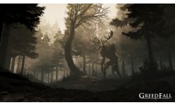 GreedFall 31 07 2019 screenshot 2