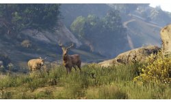 GTA V images screenshots 6