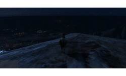GTA V poulet