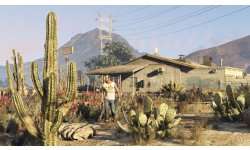 gta v screenshot pc (8)