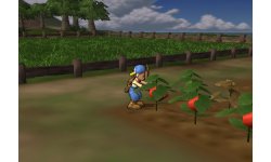 Harvest Moon Save the Homeland