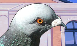 Hatoful Boyfriend