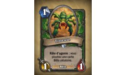 hearthstone malediction naxxramas carte chasseur tisseuse