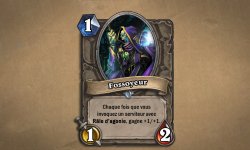 hearthstone naxxramas carte (1)