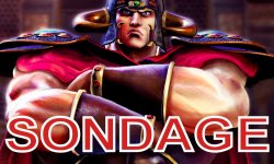 Hokuto Ga Gotoku Sondage communaute image (3)