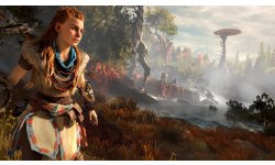 Horizon Zero Dawn (2)