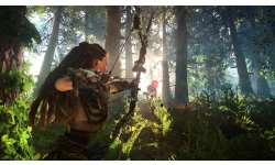 Horizon Zero Dawn (5)