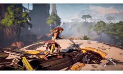 Horizon Zero Dawn image