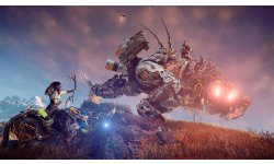 Horizon Zero Dawn images (13)