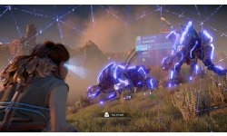 Horizon Zero Dawn images (16)
