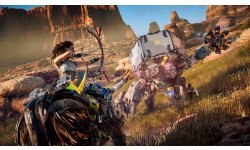 Horizon Zero Dawn images (2)