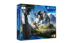 Horizon Zero Dawn PS4 pack image