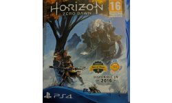 Horizon Zero Dawn