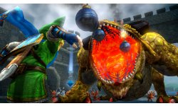 Hyrule Warriors 16.06 (11)