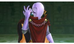 Hyrule Warriors Captures 25