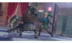 Hyrule Warriors Definitive Edition head