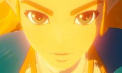 Hyrule Warriors l'ère du Fléau 04 15 06 2021