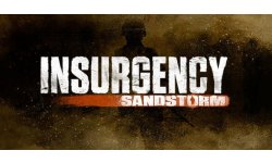 Insurgency Sandstorm logo