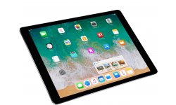 iPad Pro 4.