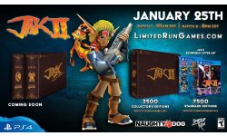 Jak II collector LRG 01 21 01 2019