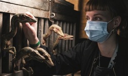 Jurassic World Le Monde Après