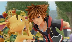 Kingdom Hearts III images (17)