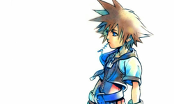 Kingdom Hearts Sora menu
