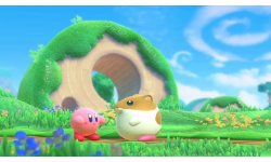 Kirby Star Allies head