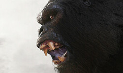 Kong Survivor Instinct 01