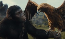 La Planète des Singes Le Nouveau Royaume vignette 03 11 2023