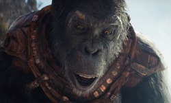 La Planète des Singes Le Nouveau Royaume vignette 12 02 2024