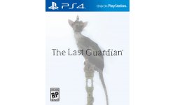last gaurdian cover jaquette 02