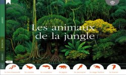 les animaux de la jungle