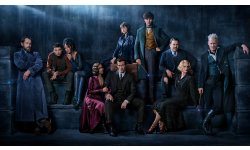 Les Animaux Fantastiques Les Crimes De Grindewald pic