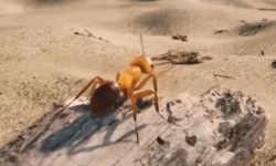 Les Fourmis – Teaser d’annonce – Tower Five Studio & Microids