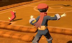 Légendes Pokémon Arceus 06 27 02 2022