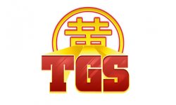 logo tgs gamergen toulousegamesshow