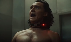 Loki vignette 19 05 2021