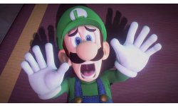 Luigi's Mansion 3 vignette 12 06 2019