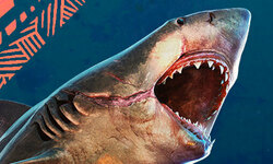 Maneater PS5 Xbox Series