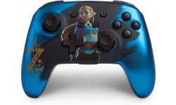 Manette Switch PowerA 07 31 08 2019