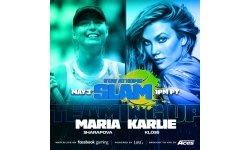 Mario Tennis Aces Stay at Home Slam 2
