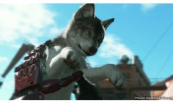 metal gear solid v the phantom pain dd the wolf 001