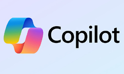 Microsoft Copilot2