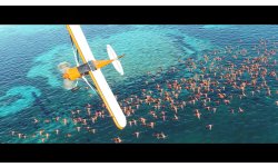 Microsoft Flight Simulator head
