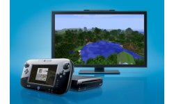 minecraft wii u screenshot