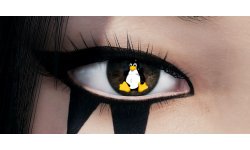 Mirror Edge Oeil DICE Linux
